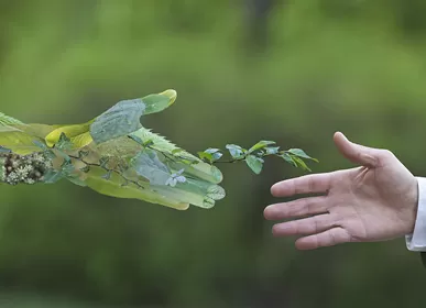 Avec un investissement de 100 millions de dollars américains, le projet électronique de Rosenberg a été signé dans la zone nationale de haute technologie de Changzhou.